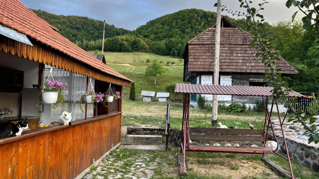 Hotel Casa Aurelia Chiscau Zewnętrze zdjęcie