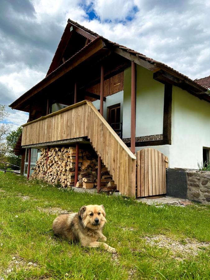 Hotel Casa Aurelia Chiscau Zewnętrze zdjęcie